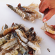 Illustration for article titled Do I ireally/i need to devein shrimp?